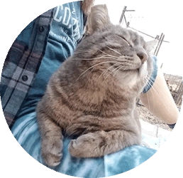one of Larissa's awesome cats