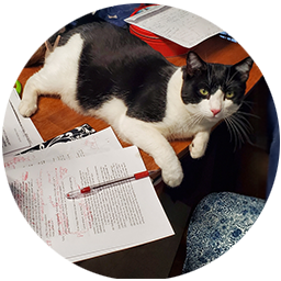 Larissa's writing helper